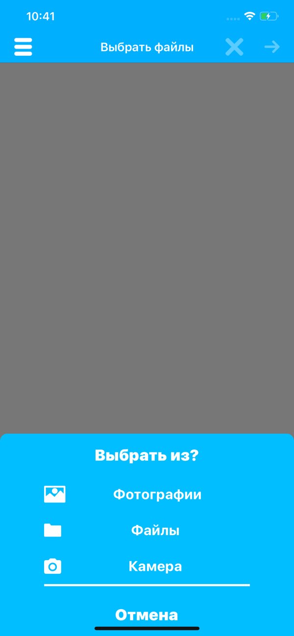 Photo & Image Converter на iPhone: интерфейс работы с изображением