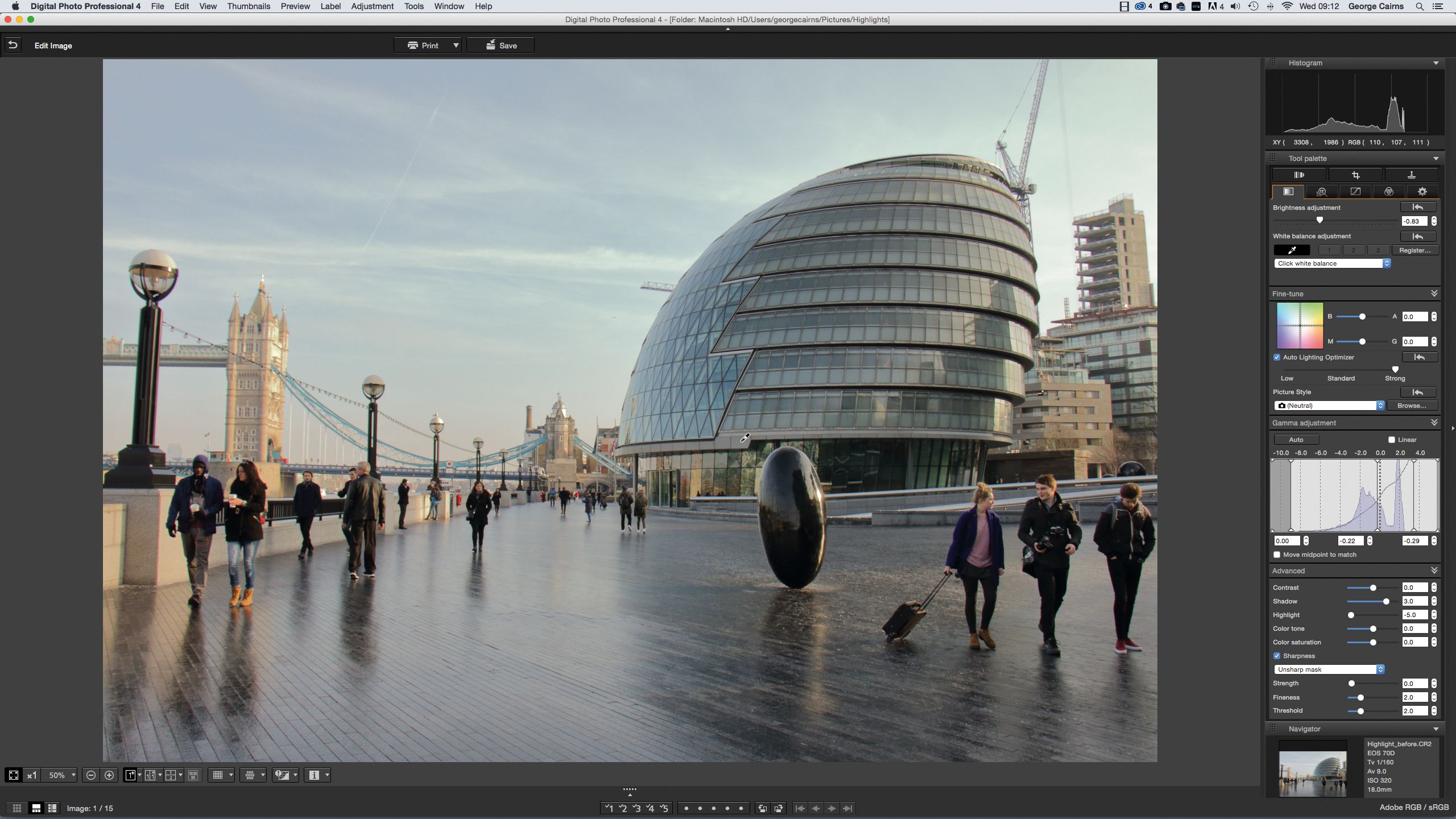 Интерфейс Canon Digital Photo Professional с RAW-настройками