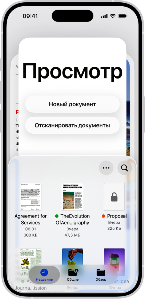 Основной экран приложения Просмотр на iPhone