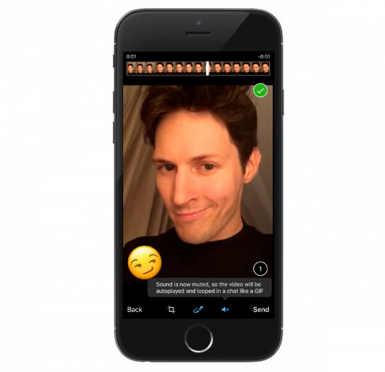 Telegram: отключение звука у видео перед отправкой как зацикленной GIF-подобной анимации