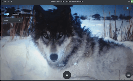 Интерфейс Webcamoid с настройками веб-камеры