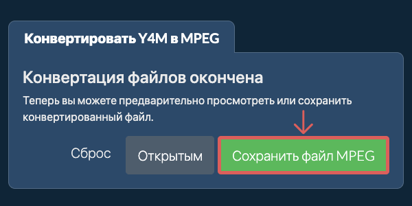 Сохранение MPEG после конвертации Y4M в ezyZip