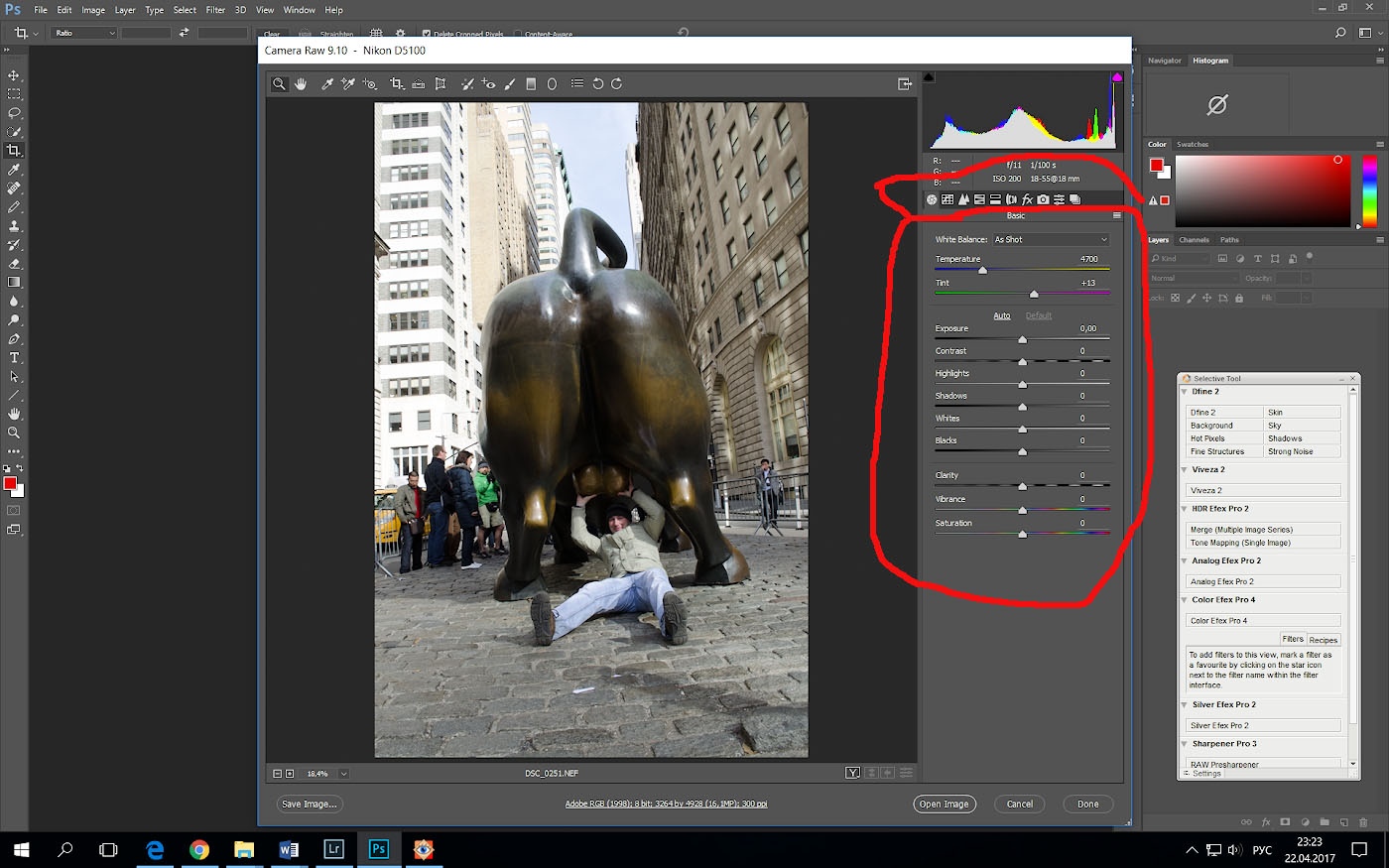 Панель базовой обработки Camera Raw