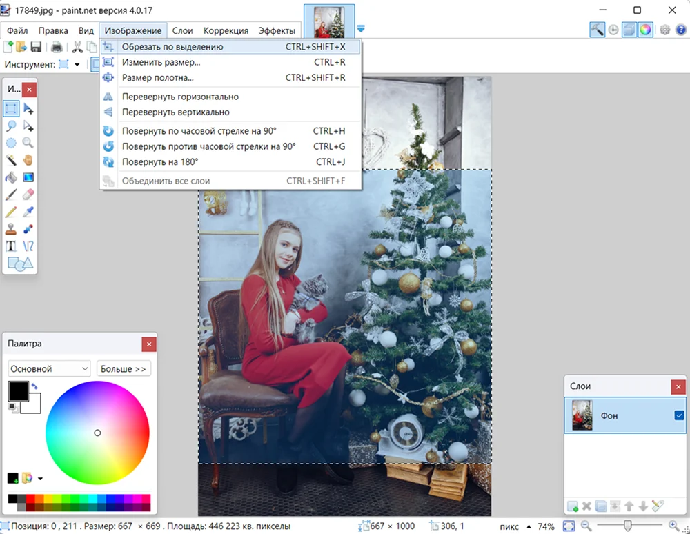 Выделенная область кадрирования в Paint.NET