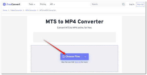 Интерфейс FreeConvert при конвертации MTS в MP4