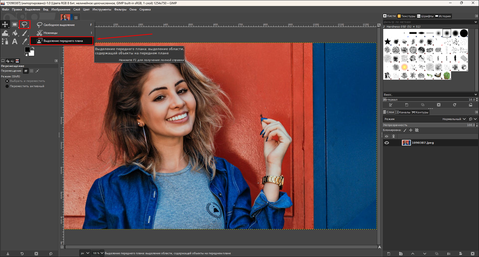 Инструмент Foreground Select в GIMP