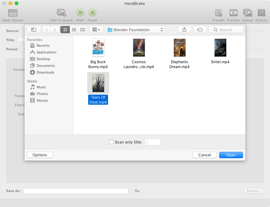 Диалог Open Source в HandBrake для выбора исходного видео
