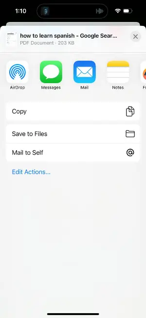 Сохранение PDF в Files на iPhone