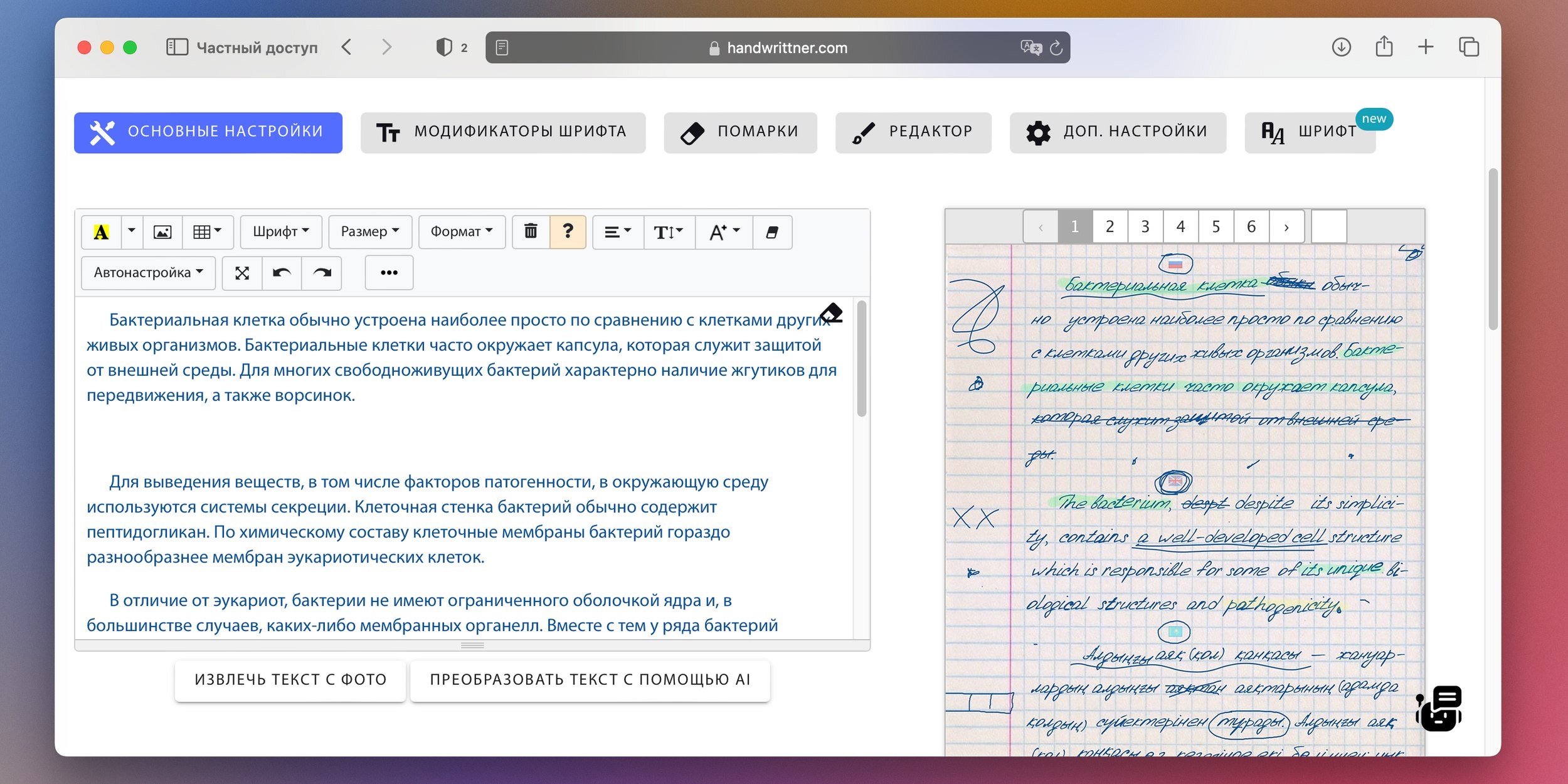 Интерфейс Hand Writtner с настройками рукописного оформления