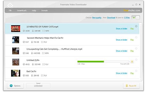 Главное окно Freemake Video Downloader с очередью загрузок, кнопкой Paste URL, прогрессом и ссылками Show in folder / Play