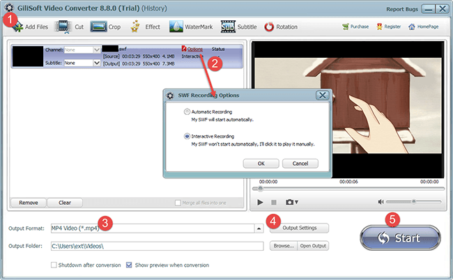 Окно SWF Recording Options в GiliSoft Video Converter