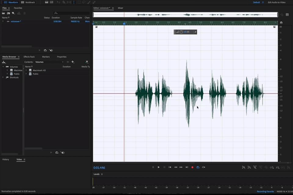 Adobe Audition: Waveform Editor с волновой формой аудиозаписи