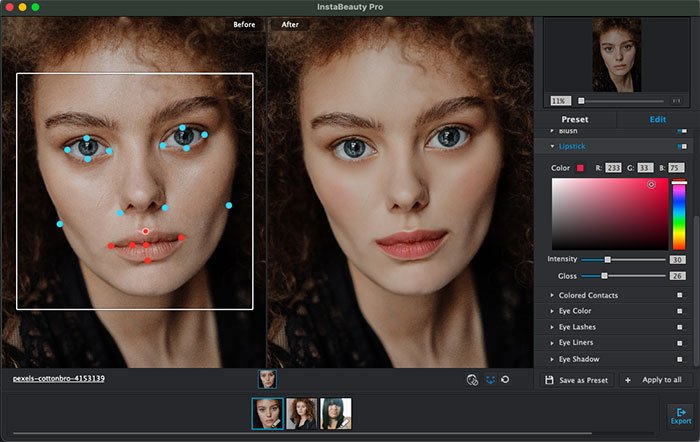 WidsMob Portrait Pro: ручная корректировка ключевых точек лица