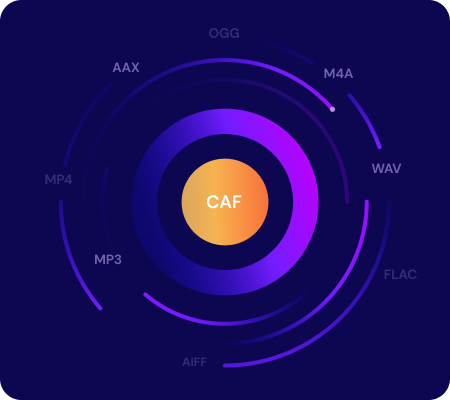 Рабочий экран Media.io для конвертации CAF