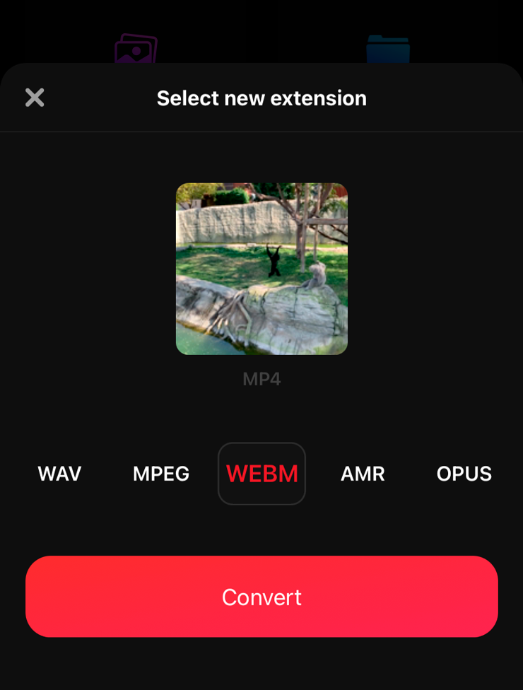 Интерфейс «Конвертер MP3: извлечь аудио»