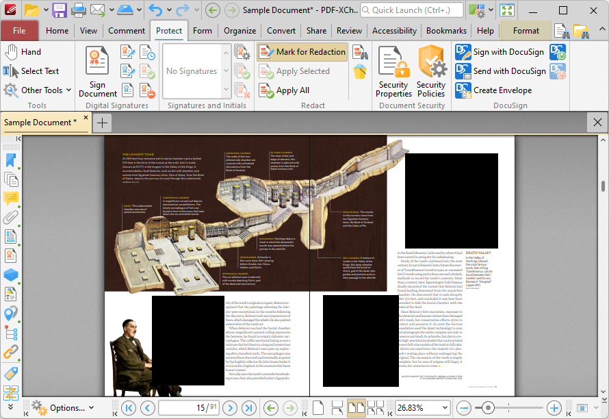 Применённые redaction в PDF-XChange Editor