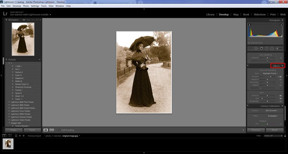 Зерно и виньетка в панели Effects Lightroom