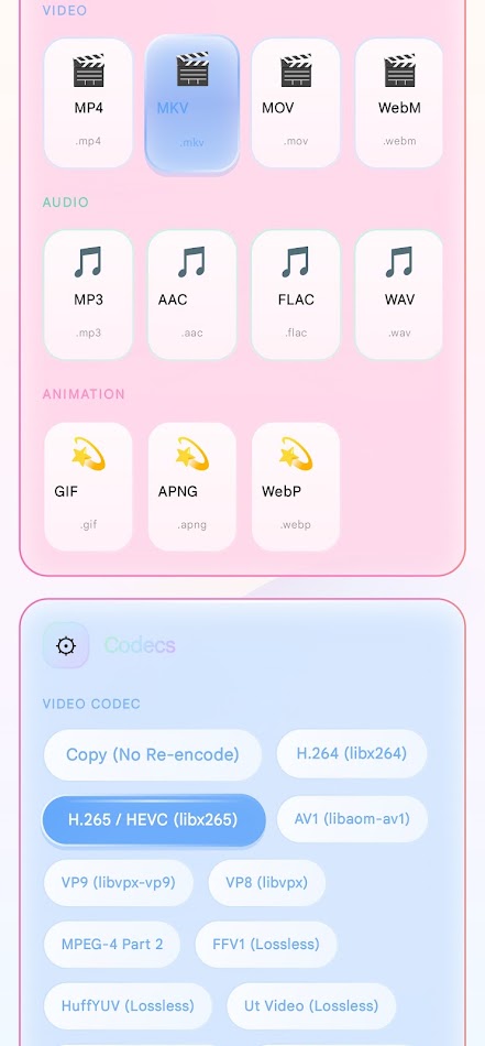 HiFi Media Converter: список видеокодеков с FFV1 Lossless