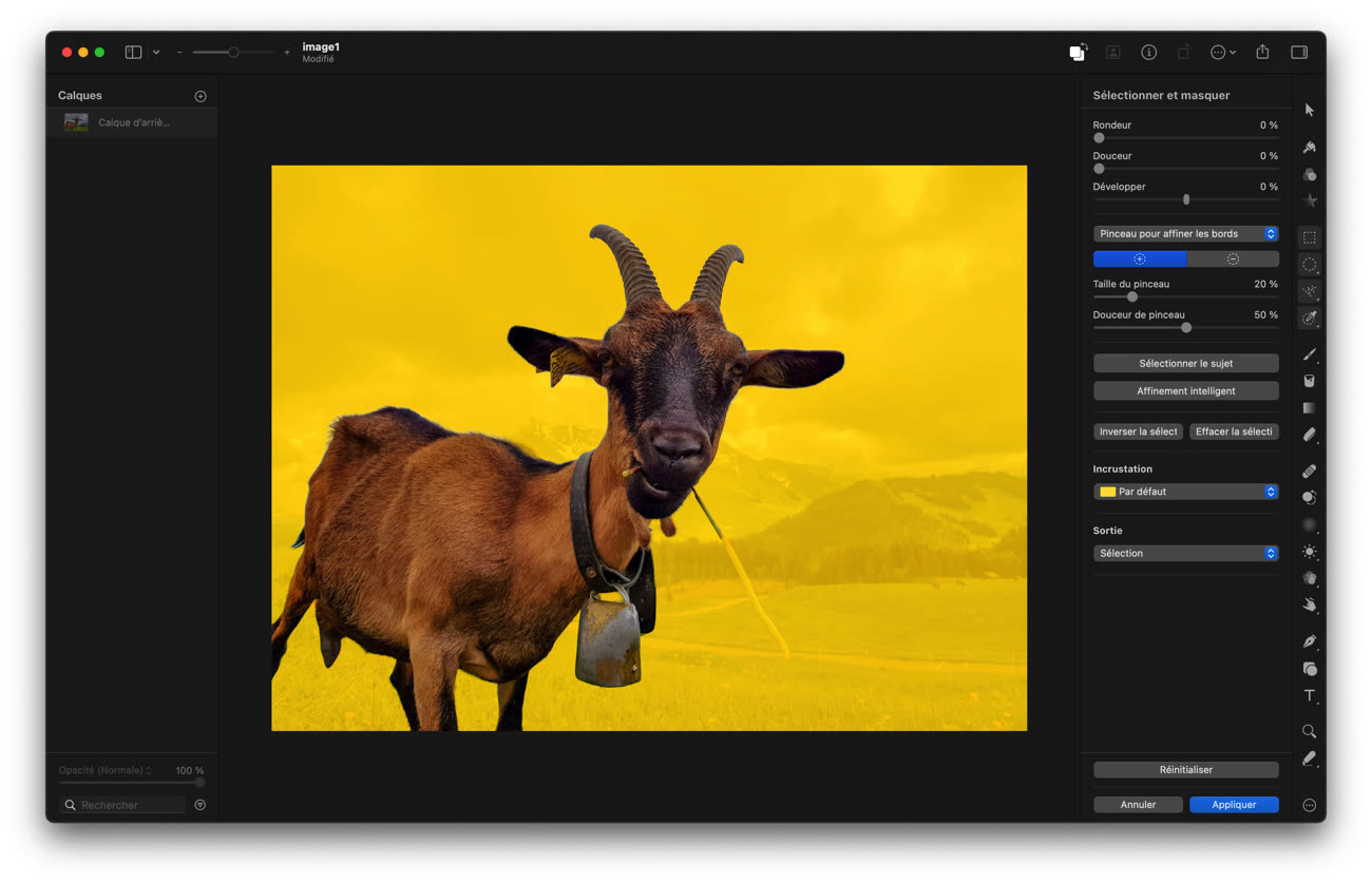 Редактирование выделения и маски в Pixelmator Pro