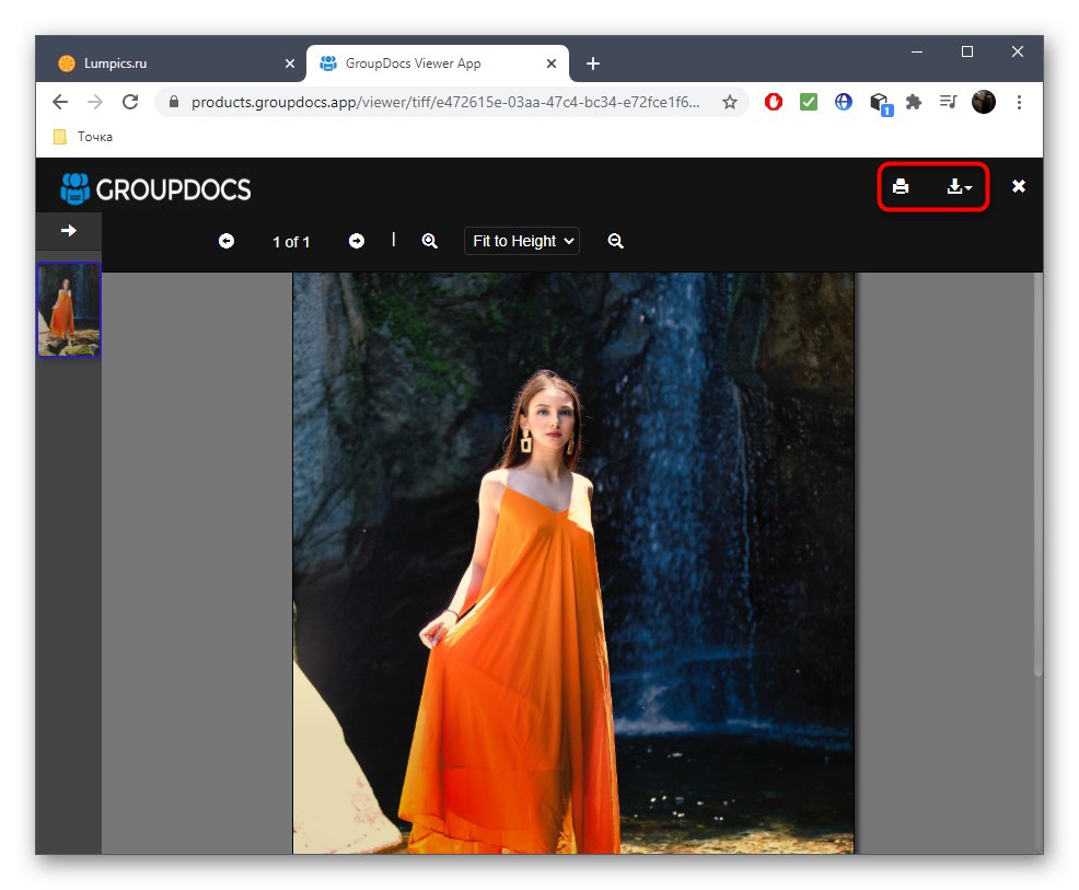 Интерфейс GroupDocs Viewer с открытым изображением и панелью просмотра