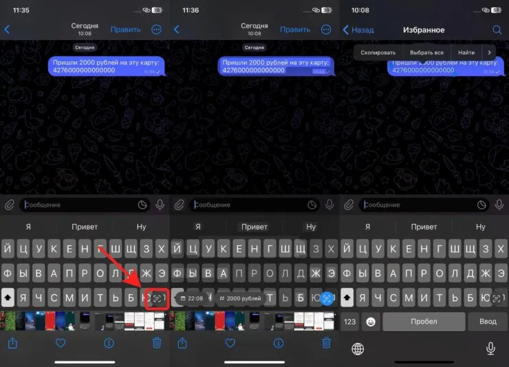 Выделение распознанного текста Live Text на iPhone