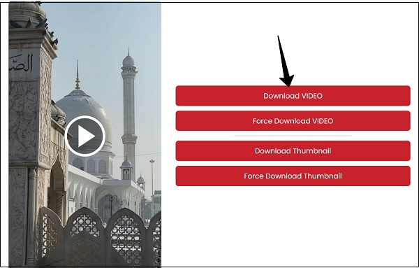 Результат обработки пина на PinterestDownloader.com