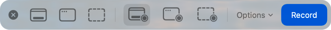 Панель записи экрана macOS