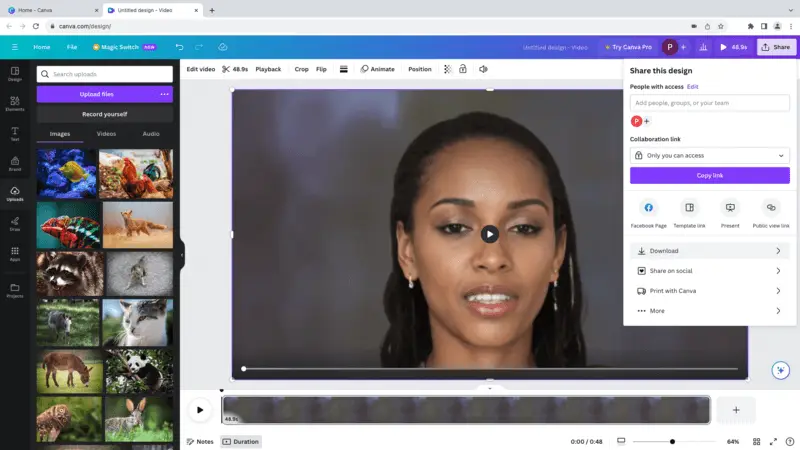 Видеопроект Canva с записанным камерным клипом