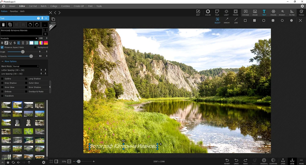 Интерфейс PhotoScape X с инструментами вставки текста и изображения