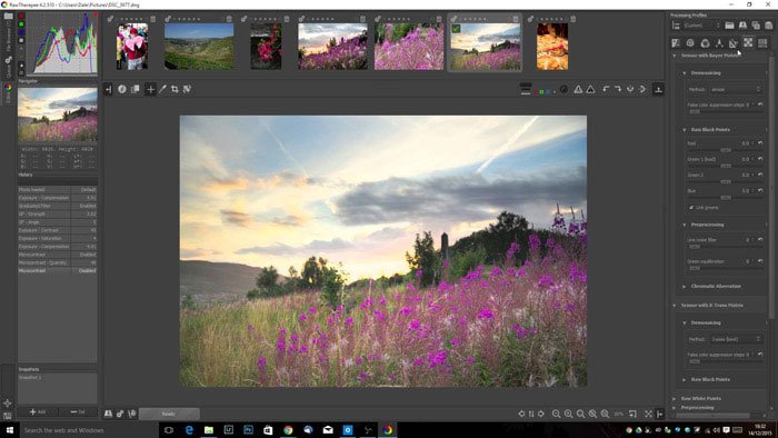 Интерфейс RawTherapee с открытой фотографией и панелями RAW-обработки