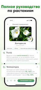 Карточка растения и параметры ухода в Papaplant