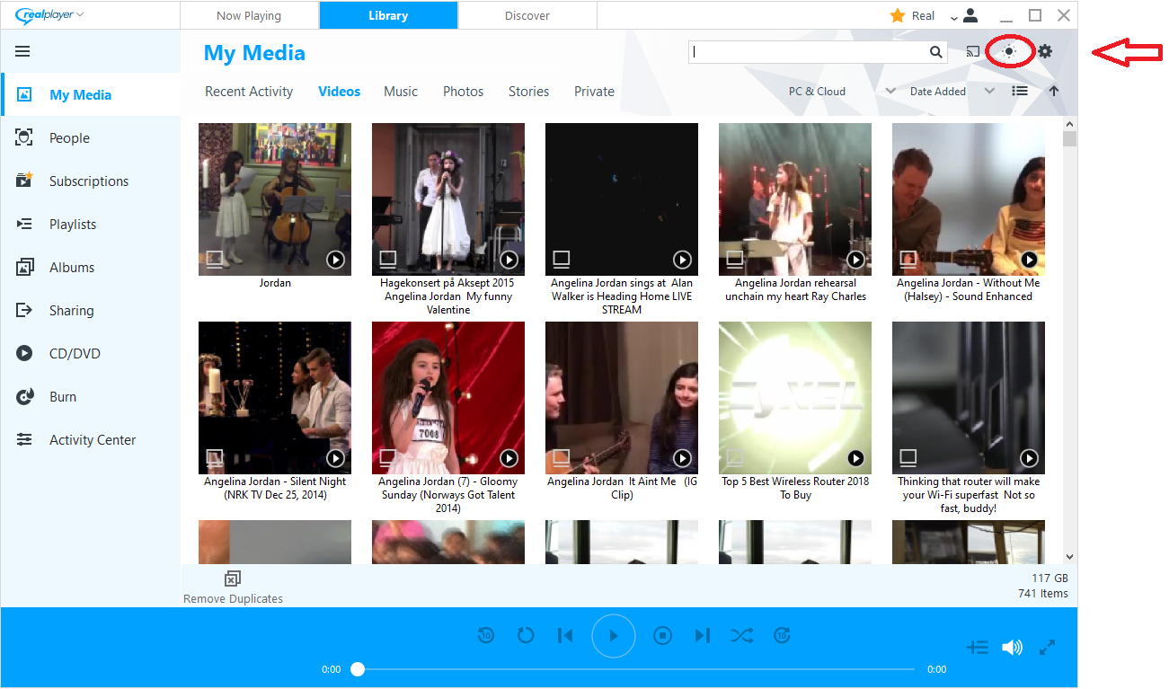 Интерфейс библиотеки RealPlayer