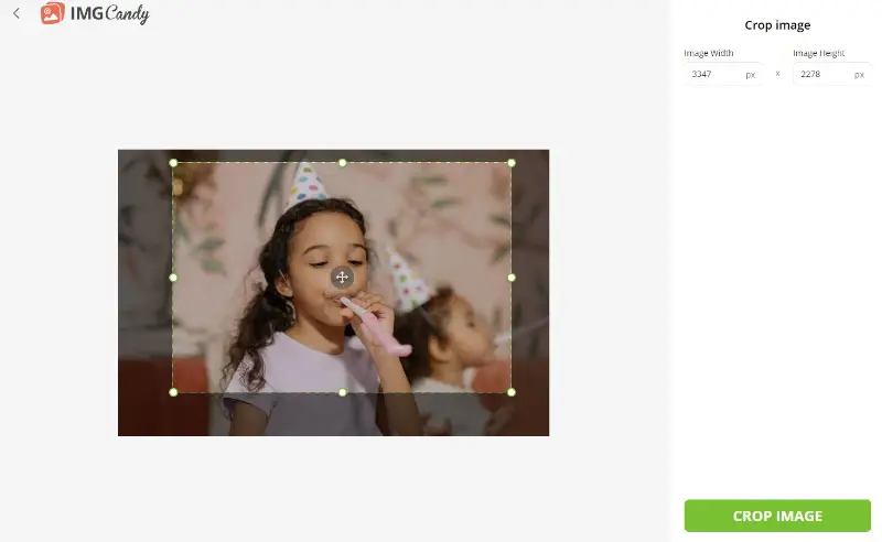 Рабочая область кадрирования в Image Candy