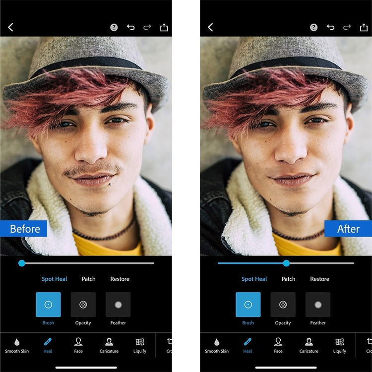 Интерфейс Spot Heal Patch Restore и параметры кисти в Photoshop Express