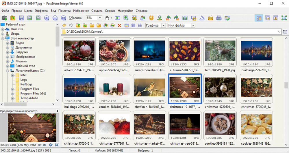 Интерфейс FastStone Image Viewer с папками, миниатюрами и предпросмотром