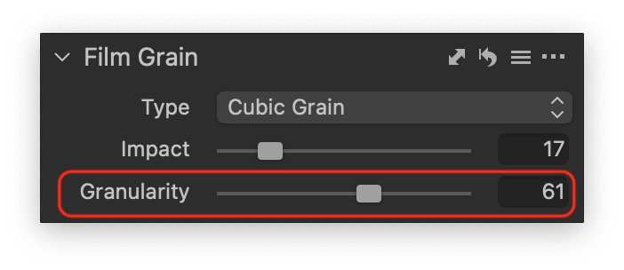 Ползунок Granularity в инструменте Film Grain Capture One Pro