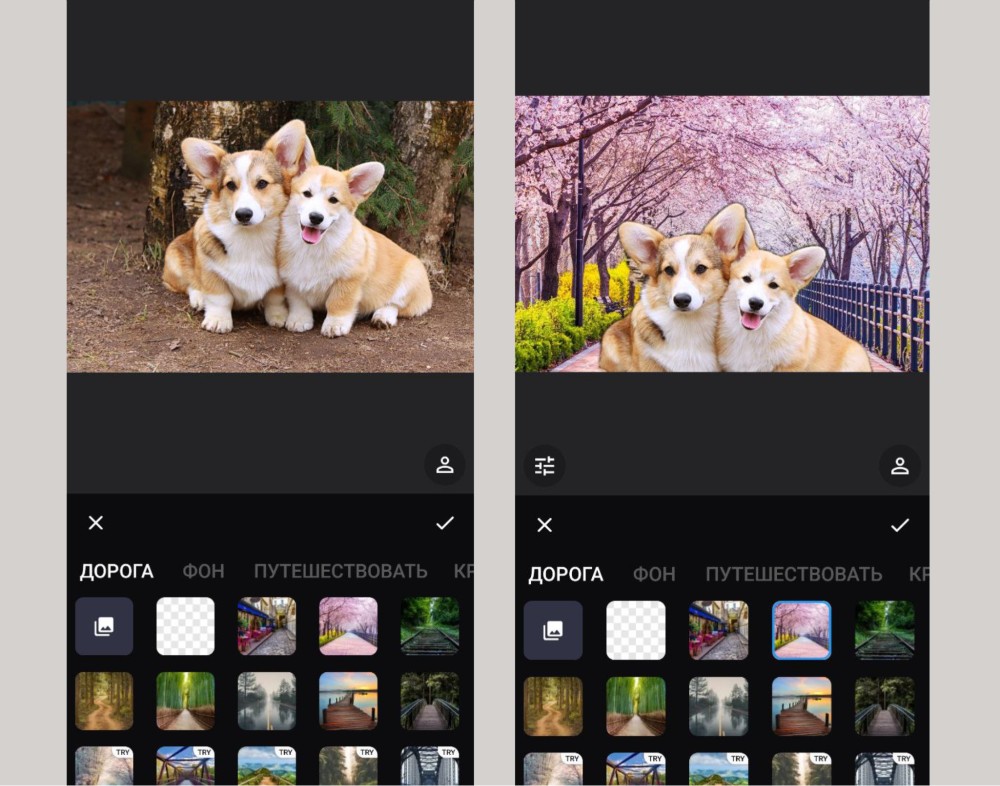 Интерфейс Photo Background Changer