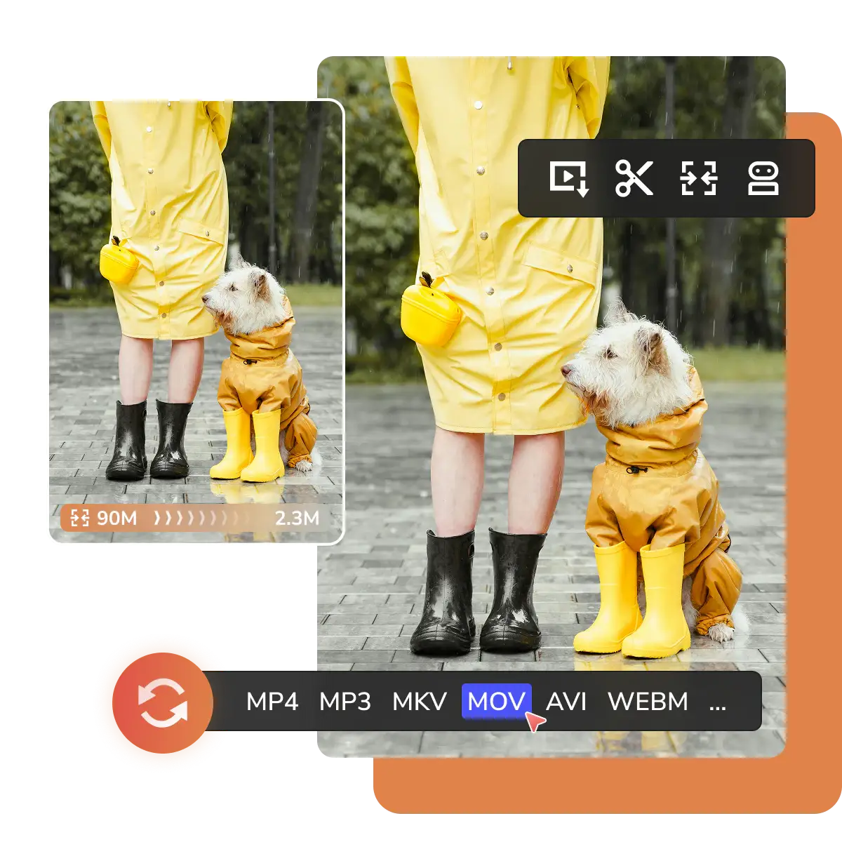 Any Video Converter Free: интерфейс и поддерживаемые форматы MP4, MP3, MKV, MOV, AVI, WebM