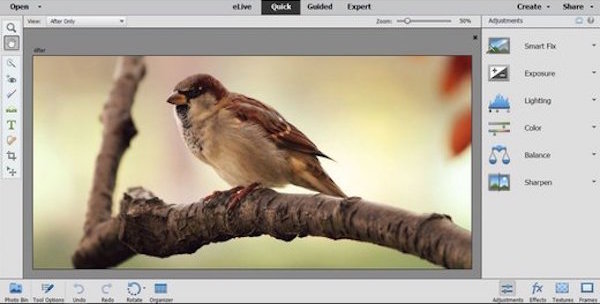 Интерфейс Adobe Photoshop Elements: рабочее окно и инструменты обработки, изображение 1