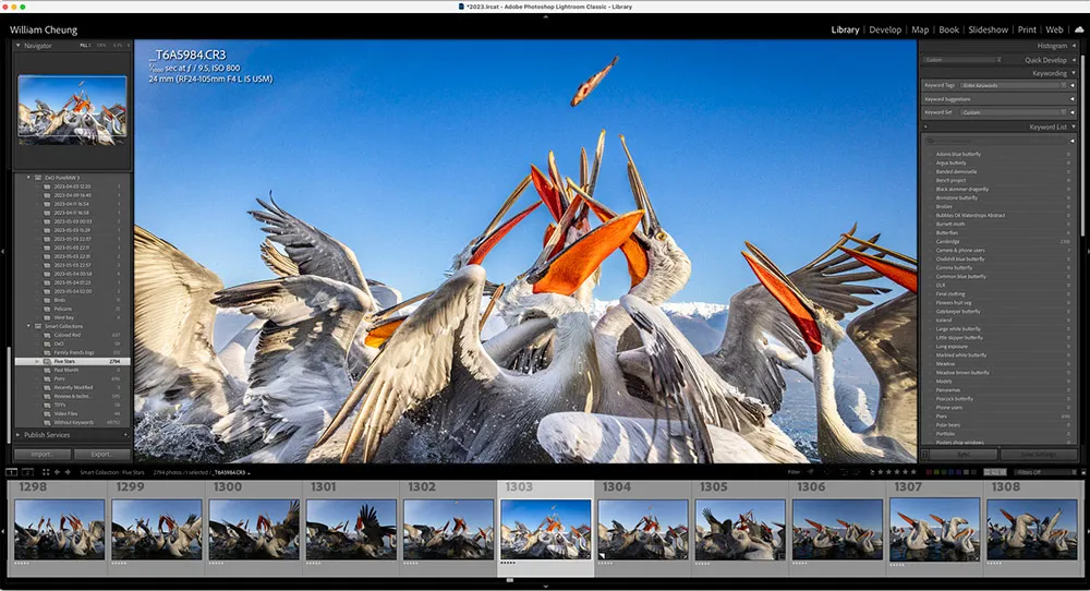 Модуль Library Lightroom Classic с сеткой импортированных кадров