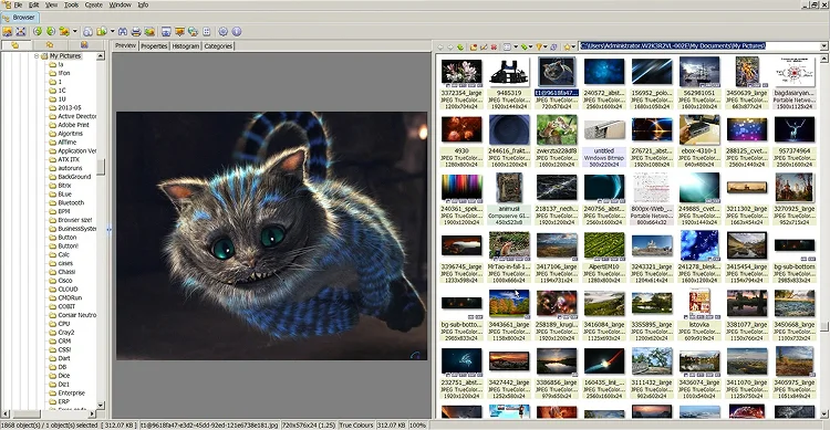 Интерфейс XnView с открытым изображением