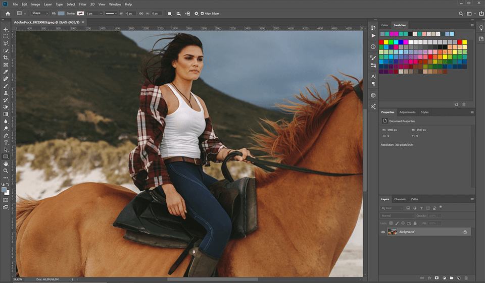 Окно Adobe Photoshop и Camera Raw с файлом NEF