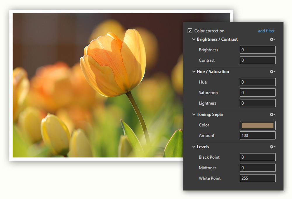 Color filters и параметры цветокоррекции в WnSoft PTE AV Studio