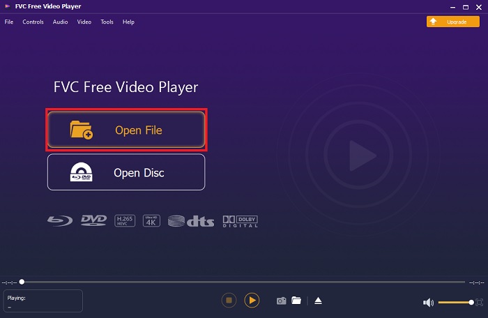 Интерфейс FVC Free Video Player с кнопками Open File и Open Disc