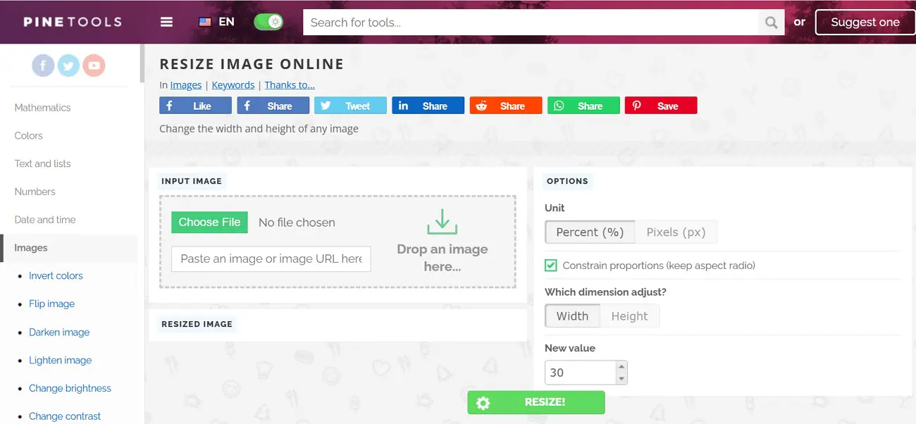 Интерфейс PineTools Resize image с блоками Input image, Options и кнопкой Resize