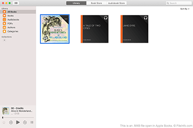 M4B-аудиокнига, открытая в Apple Books