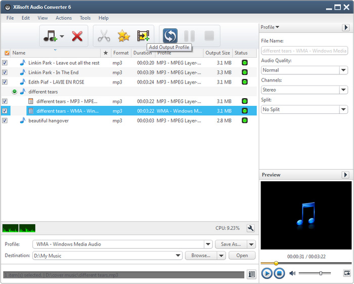 Несколько профилей для одного файла в Xilisoft Audio Converter