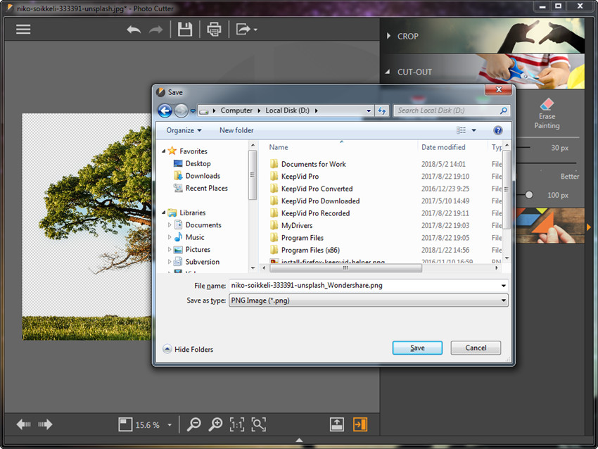 Сохранение результата Photo Cutter как PNG Image (*.png)