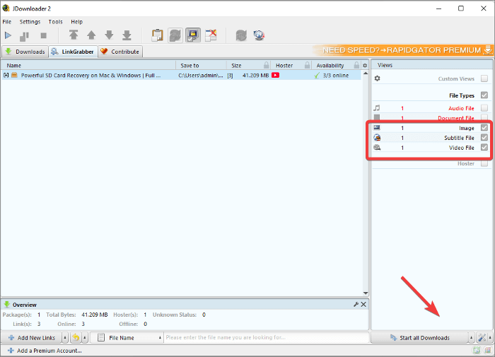 Выбор типов файлов и запуск загрузки во вкладке LinkGrabber JDownloader 2
