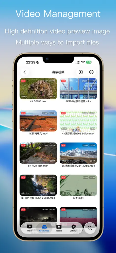 Интерфейс SenPlayer с локальной медиатекой видео